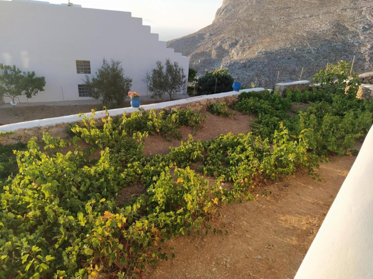 Cycladic Houses In Rural Surrounding Amorgos Exteriör bild